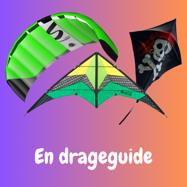 Den store drageguide