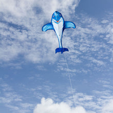Delfin
