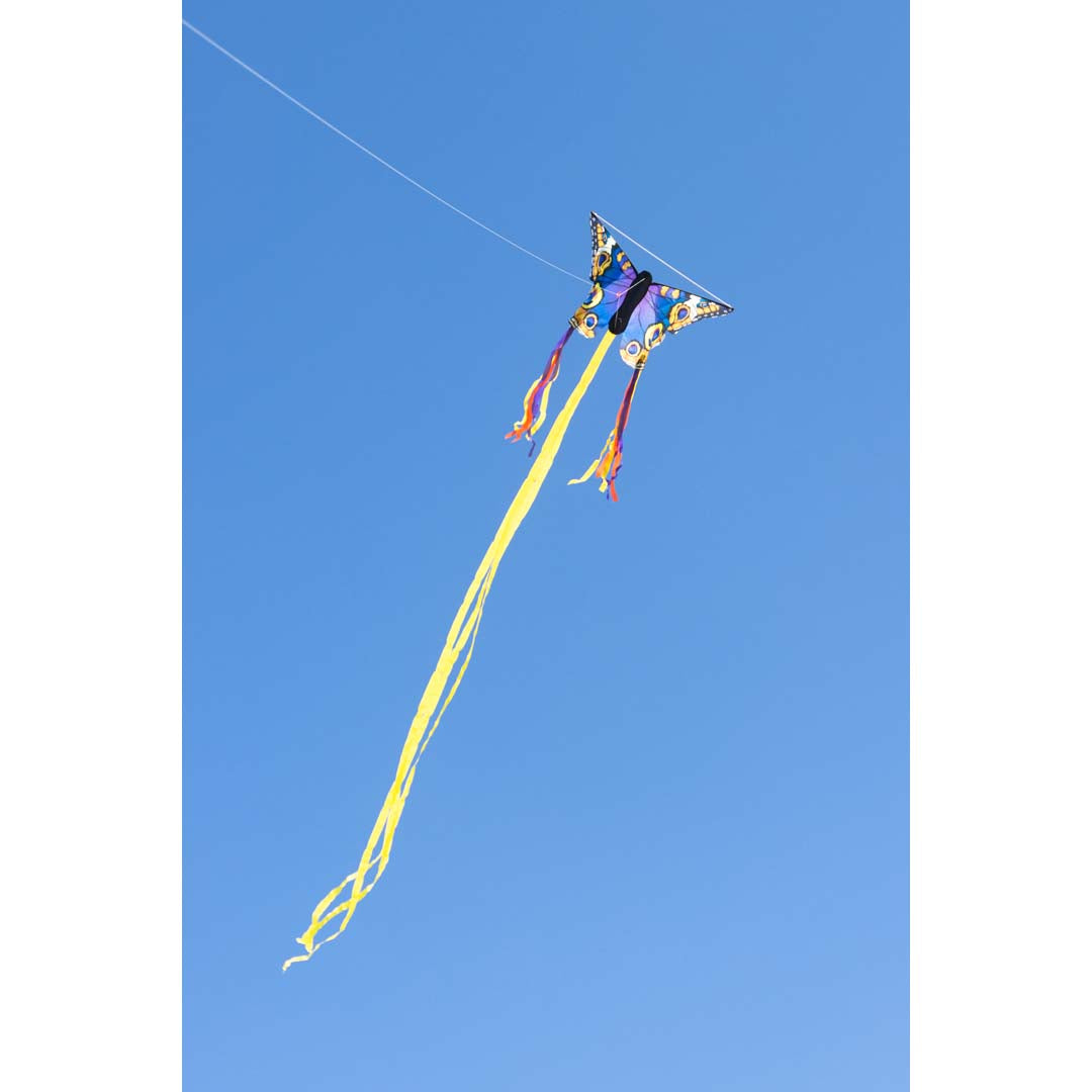 Butterfly Kite Buckeye 52