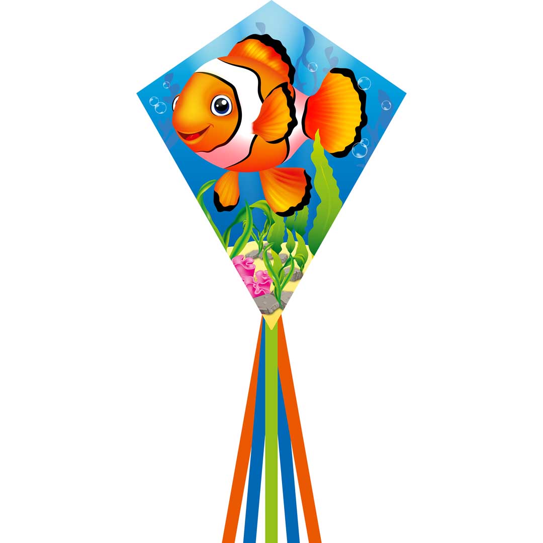 Eddy 70 Clownfish