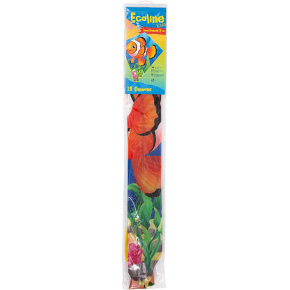 Eddy 70 Clownfish