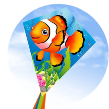 Eddy 70 Clownfish