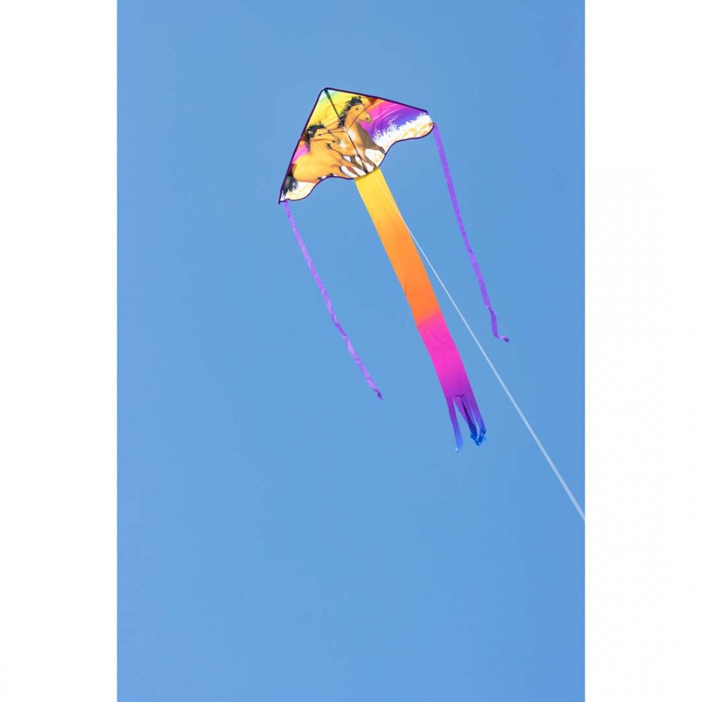 Simple Flyer Vilda Hästar 85