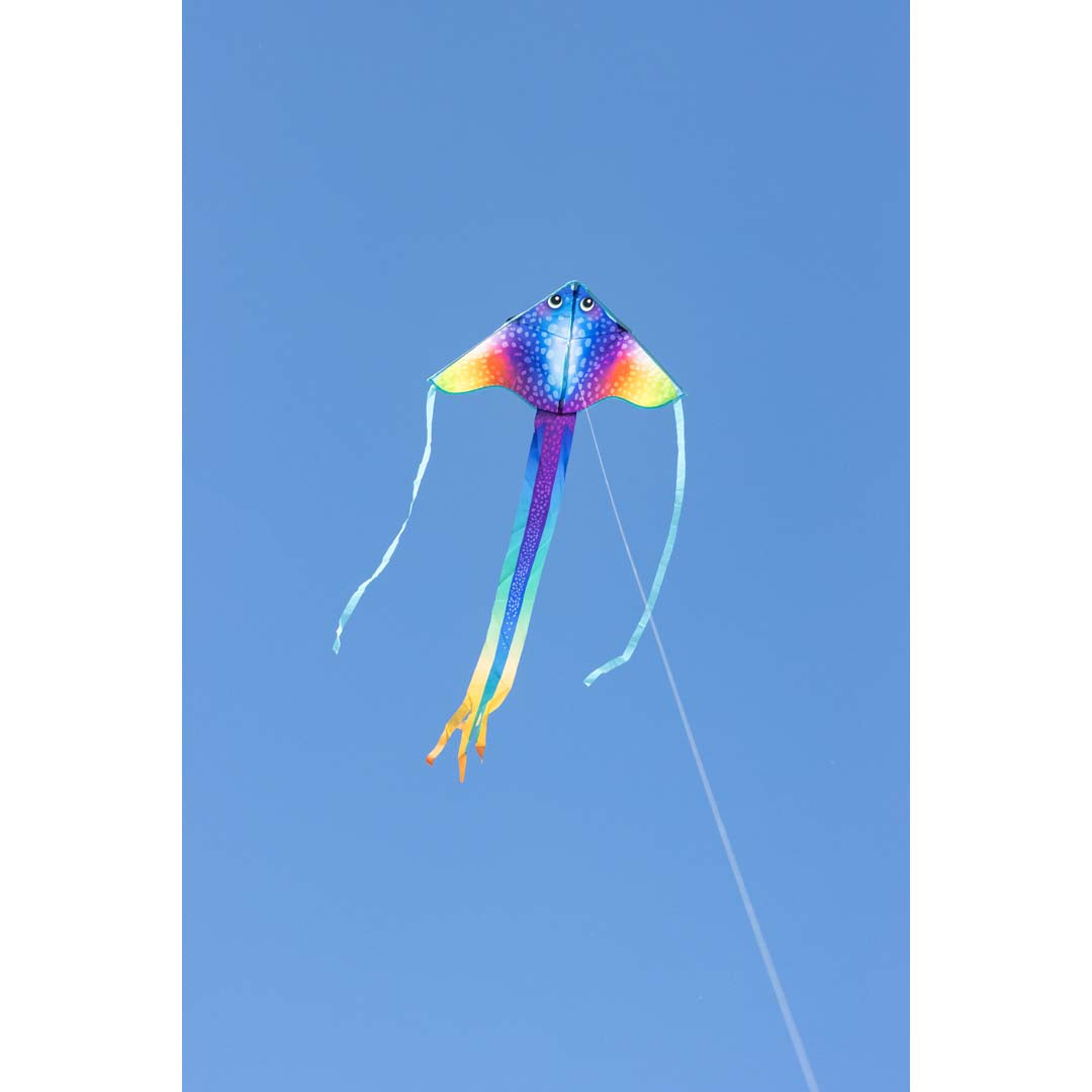 Simple Flyer Manta 85