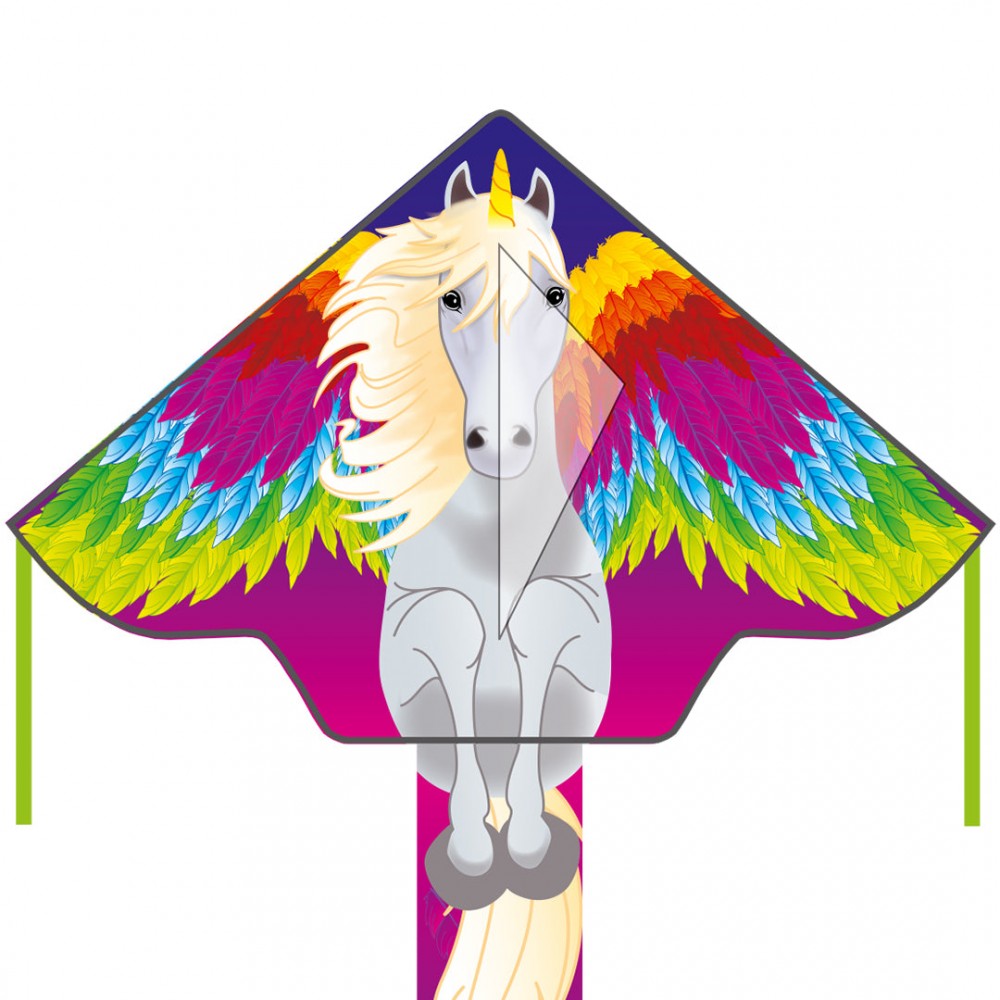 Simple Flyer Pegasus 120