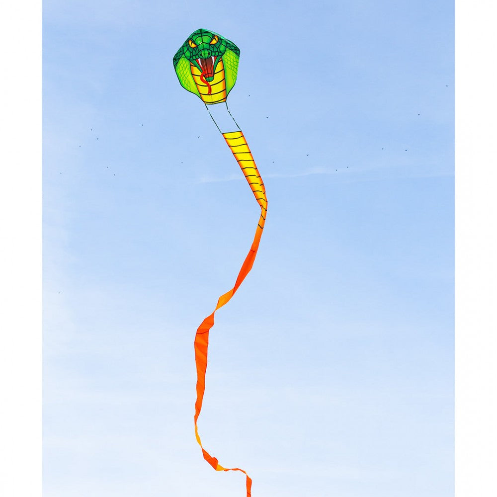 Jättekobra (10 m)