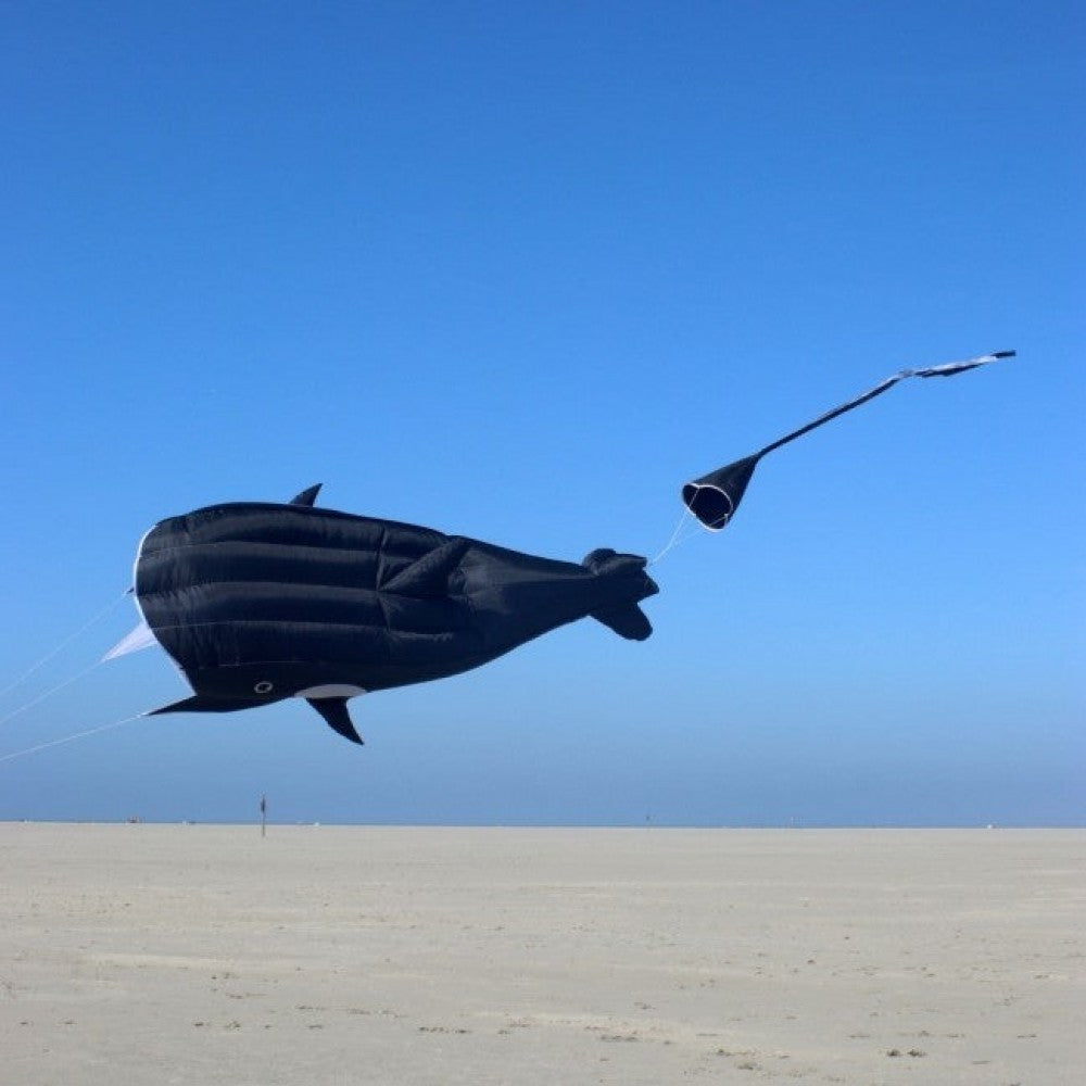 Willi the Whale